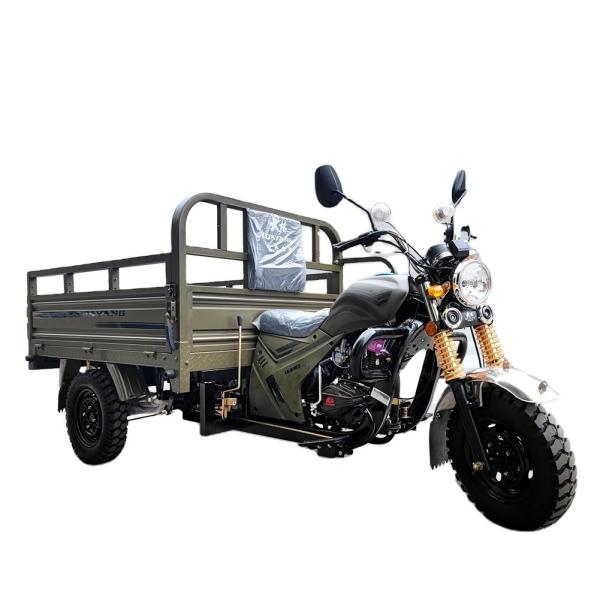 Quality Three Wheel Motorcycle Scooter Trike Petrol Type Motorcycle 1000W Motor for 1 Passenger for sale