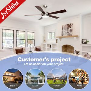 110-240V Ceiling Fan with Light and Remote Home Decoration Copper Motor 5 MDF