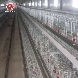 Buy cheap Q235 Hot Galvanized Wire Mesh Baby Chick Cage With Ventilation System from wholesalers