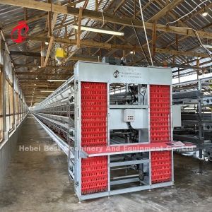 Egg Chicken Farming Poultry Layer Cage Electrostatic Spraying Ada