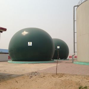 Buy cheap Compressed Biogas Plant Project Construction Bio CNG Gas Plant from wholesalers
