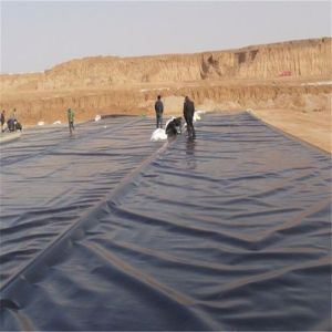 Buy cheap Waterproofing Applications Choose HDPE Geomembrane Liners with Long Service Life from wholesalers