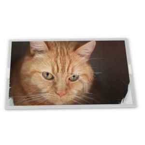 Buy cheap High Resolution 7.0-Inch WLED New and good LCD Display Module 800*480 ODM LB070WV6-TD08 Modules from wholesalers