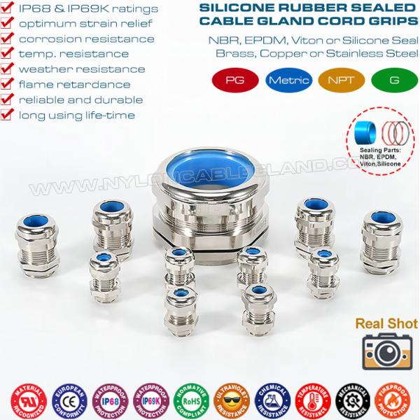 Nickel-plated Brass PG Wire Glands, IP68 Waterproof Metallic Cable Connector Glands with Blue Silicone Seals & O-rings Nickel-plated Brass PG Wire Glands, IP68 Waterproof Metallic Cable Connector Glands with Blue Silicone Seals & O-rings