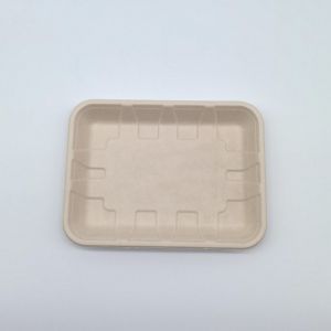 Buy cheap Compostable Biodegradable Bagasse Tableware Disposable Rectangular Shape from wholesalers