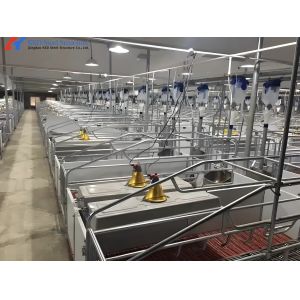 Buy cheap Steel Pig Farm Shed Piggery Equipment Feeding Accessories Customized from wholesalers
