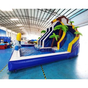 Buy cheap Plato Double Side Inflatable Water Slide Jumper Bounce House from wholesalers