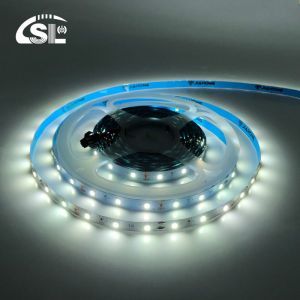 Buy cheap 12V 60leds/m 6000K-6500K SMD 2835 White Addressable Led Backlight Strip Lights 2200 lm from wholesalers