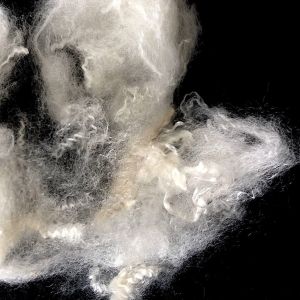 Buy cheap High Tenacity Virgin Material Bosilun Fiber Instead Of Acrylic Fiber 5D×102mm Virgin Raw White Color from wholesalers