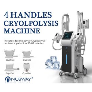 Buy cheap cryolipolysis cool shaping machine cryolipolysis machine price  cryolipolysis machine from wholesalers