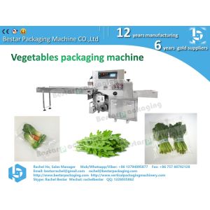 Greens cabbage leafy pouch packaging horizontal servo packing machine