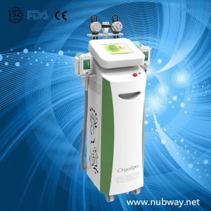 Buy cheap Super fast amazing result cryolipolysis for fat reduction weight from wholesalers
