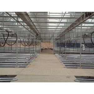 Buy cheap Galvanized Steel Pipe Multi Span Greenhouse Vegetable Greenhouse Kits For Winter Cover from wholesalers