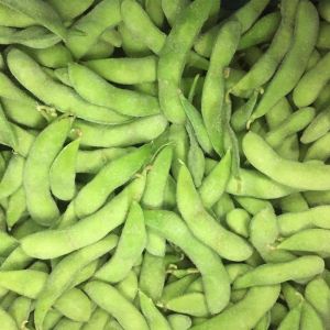 Buy cheap Common Organic Frozen Edamame Beans With KOSHER BRC Certification from wholesalers