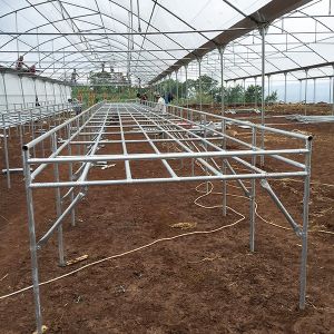 Buy cheap Easy Maintenance Customizable Deep Water Cycle Hydroponics With Water Chiller from wholesalers