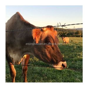 Buy cheap Galvanized Barbed Wire Affordable and Durable Wire Material Galvanized Steel Wire from wholesalers