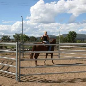 Buy cheap Square Hot Dipped Galvanized Cattle Yard Panels 50x50mm 40x40mm from wholesalers