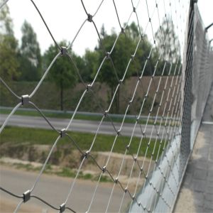 Stainless Steel Wire Rope Mesh Net As Architecture Plant Trellis