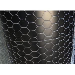 Galvanized Hexagonal Chicken Wire Mesh Netting For Animal Fence