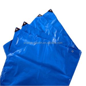 Double Faced Pe Tarpaulin Trucking Covering Tarpaulin Roll Pvc Density 6*6-16*16