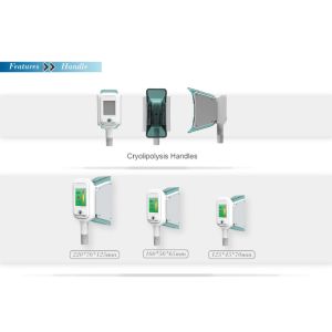 Portable Ultrasonic Liposuction Cryolipolysis Slimming Machine spa/clinic/salon