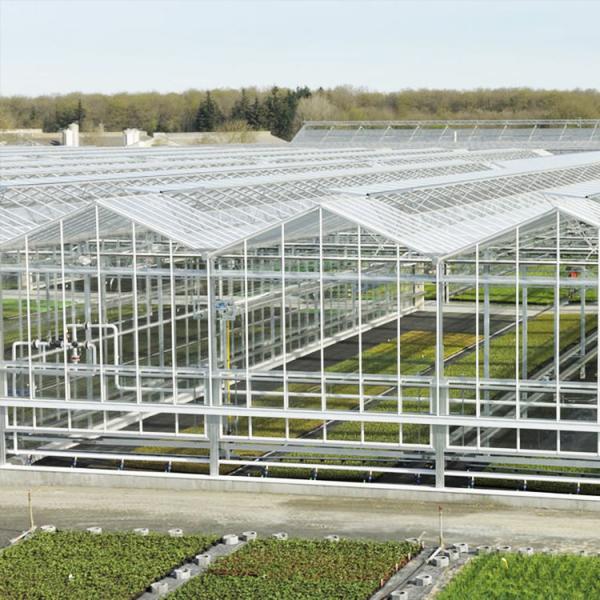 Quality 8mm Float Glass Venlo Glass Greenhouse Hydroponic System Double Layer for sale