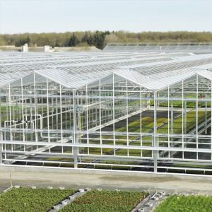 Buy cheap 8mm Float Glass Venlo Glass Greenhouse Hydroponic System Double Layer from wholesalers