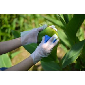 Buy cheap XL Plastic Cleaning Tpe 100pcs/Bag Disposable Kitchen Gloves product