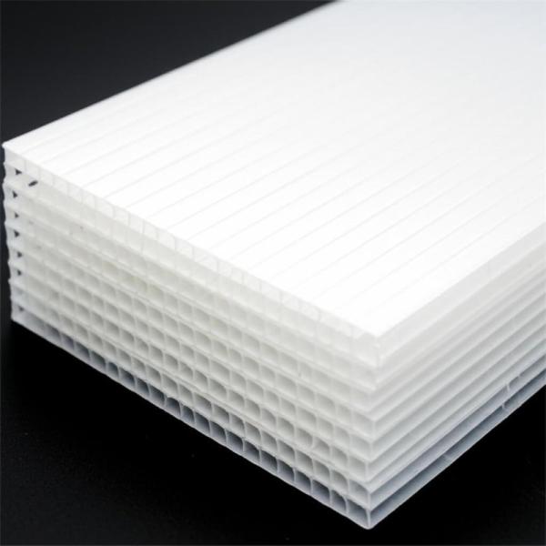 Printing Format Polypropylene Hollow Sheet with Hollow Structure Non-toxic and