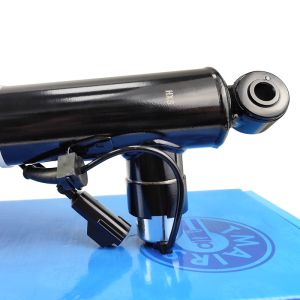 Buy cheap Front Left And Right Air Suspension Shock ASH24591 from wholesalers