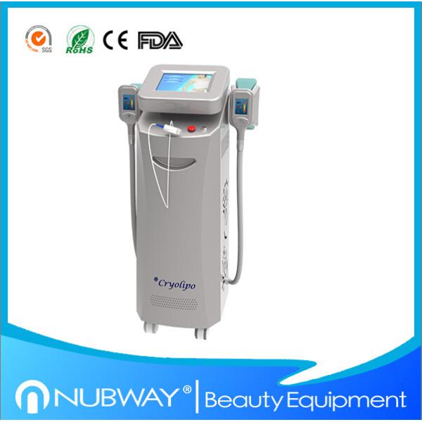 Buy cheap Beauty Weight Loss Machine 2 handles Fat Freezing Cryolipolysis Slimming Machine for Spa from wholesalers