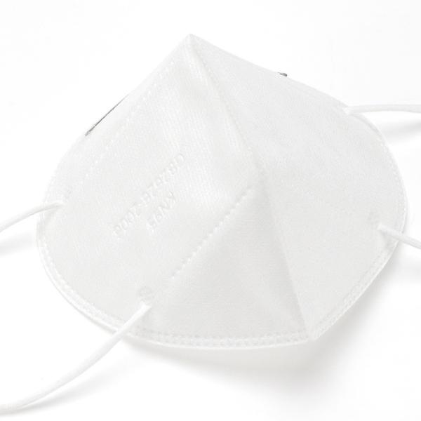 Personal Protection Respiratory KN95 Earloop Mask
