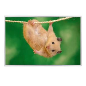 Buy cheap 24 Inch CCFL Lcd Module Old LM240WU4-SLB1 Liquid Crystal Display from wholesalers