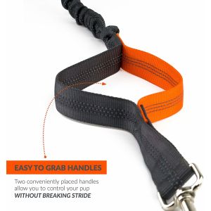 4 Feet Long Bungee Dog Lead With Reflective Stitching