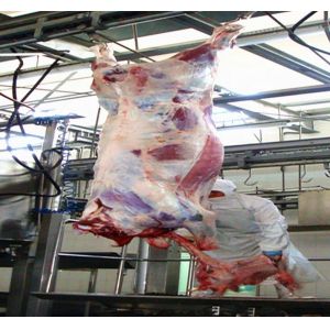 Customized 7.5KW Slaughterhouse Cow Machine Automatic Cow Slaughtering Machine