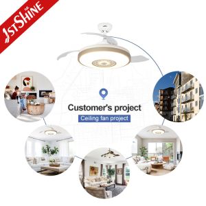 Multi Color Night Light Ceiling Fan with Hidden Blades and 110-240V/50Hz-60Hz AC