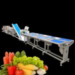 Buy cheap Industrial Fruit Vegetable Processing Machine Orange Mango Cleaning Drying Packing from wholesalers