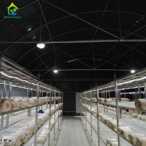 Glass Covered Customizable Light Dep Greenhouse with Retractable Shading System