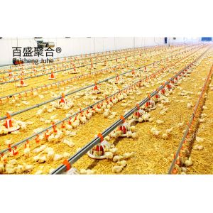 Buy cheap Multi Floor Large Scale Chicken Coop Shed Farm House Warehouse with Aluminum Alloy Window from wholesalers