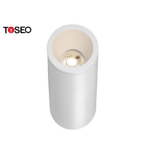 Hotel IP65 Surface Mounted Downlight 9Watt LED Cylinder Down Light