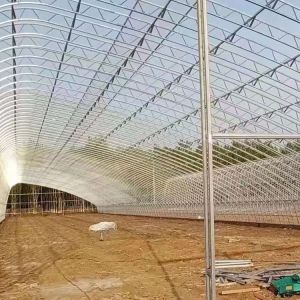 Buy cheap Customized Temperature Control Polytunnel Greenhouses With Solar Energy Cooling product