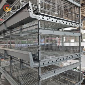 Automatic Battery Day Old Chicks Poultry Equipment Automated Pullet Brooding