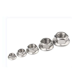 Stock ISO GB Standard M2-M30 SUS304 Stainless Steel DIN6923 Hex Flange Nuts for