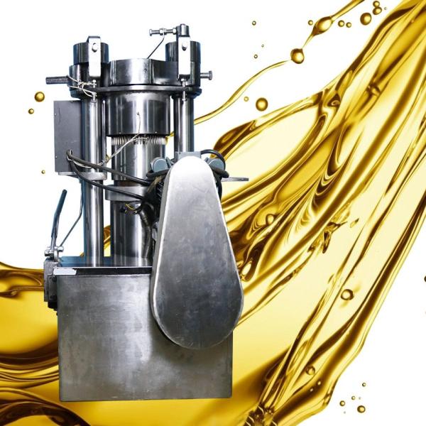 Quality Fully Automatic Hydraulic Oil Press Machine Tea Seed Oil Making Machine Food Grade for sale