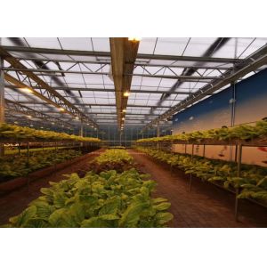 Buy cheap Tropical Tunnel Single Span Greenhouse Easy Construct High Transmittance from wholesalers