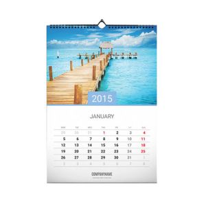 Buy cheap 12 Months Custom Calendar Printing , Full Color Custom Wall Calendars With Hanger from wholesalers