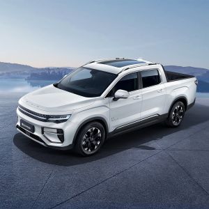 2023 2024 Model Electric Pickup Truck High Power Pickup Electric Cars RADAR RD6