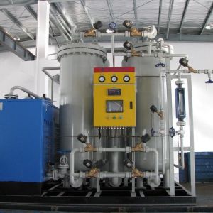 China CE Certified Energy Saving PSA Nitrogen Generator on sale