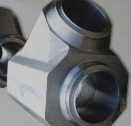ASTM A182 F51 forged lateral tee