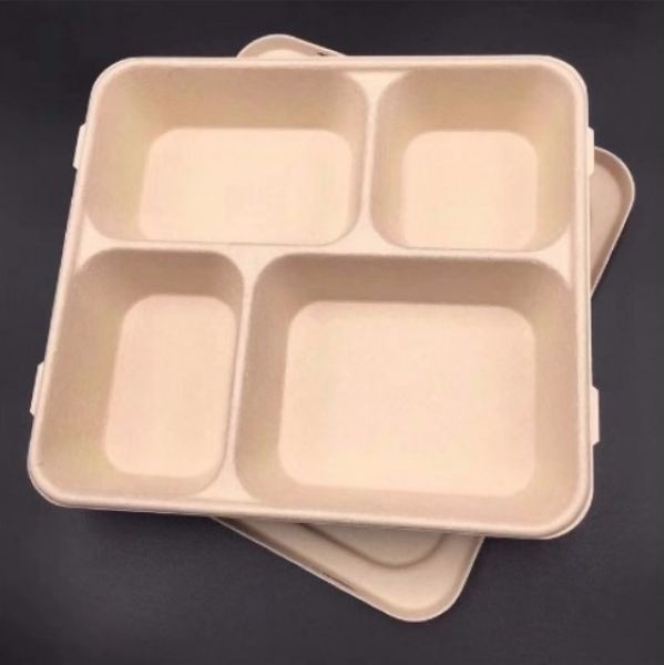Eco Friendly Biodegradable Tableware for Hot and Cold Foods